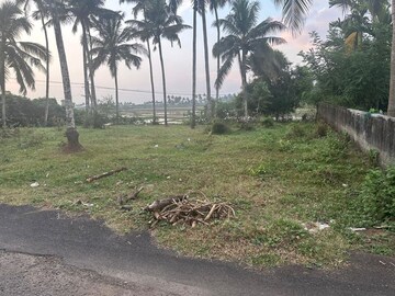  Plot For Sale in Olarikara