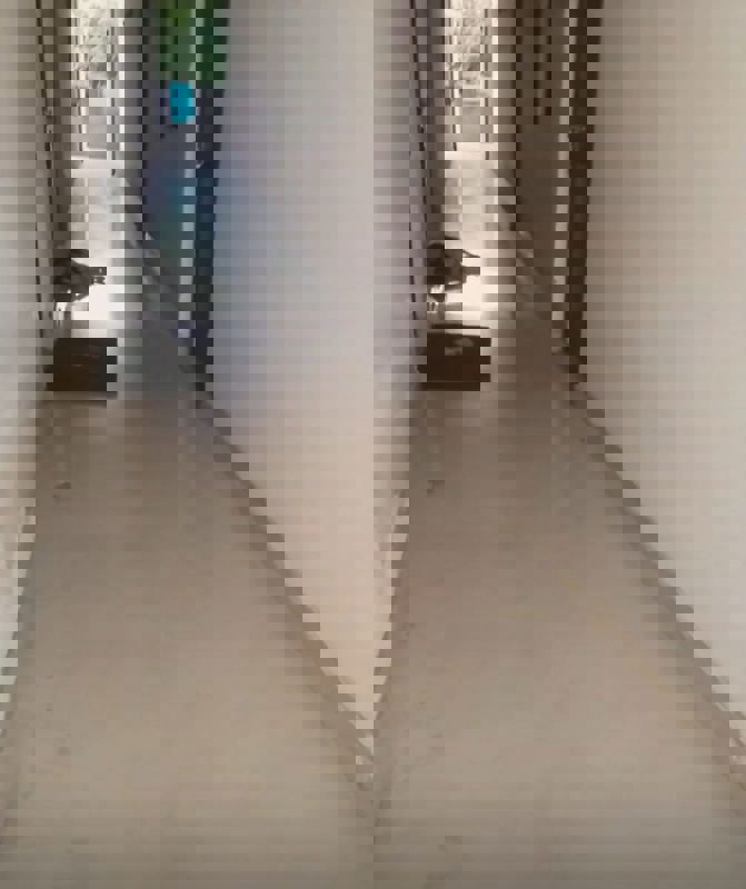 2 BHK + Pooja Room,Servant Room,Study Room Apartment For Rent in Manas Enclave Phase II