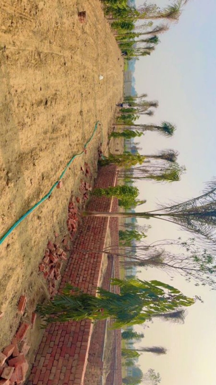 undefined, jdia-dream-city  100 Sq.Yd. Plot In Jewar Greater Noida 9728412