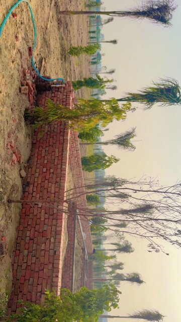  Plot – Garden View at JDIA Dream City, Jewar - for Sale