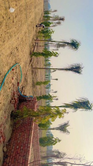  Plot – Exterior View View at JDIA Dream City, Jewar - for Sale