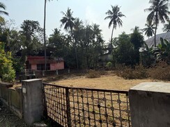 Plot For Sale in Kuriachira