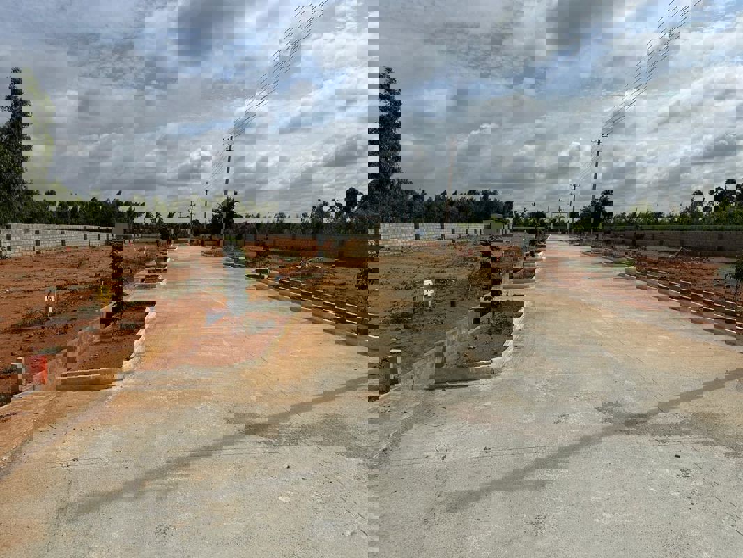 Plot For Sale in SKH Echium