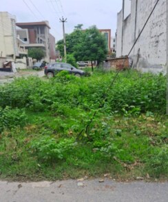 Plot For Sale in Amolik Aster Woods