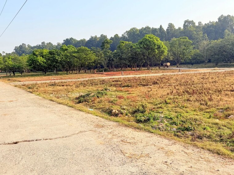 undefined, badripur  228 Sq.Yd. Plot In Badripur Dehradun 9728614