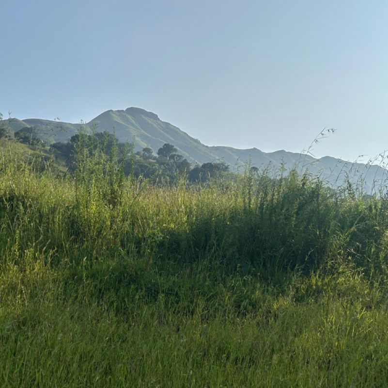 Land For Sale in Velhe