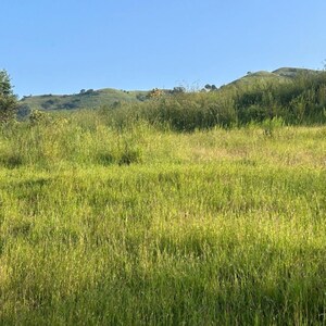 Plot Area in  Land at Velhe – for Sale