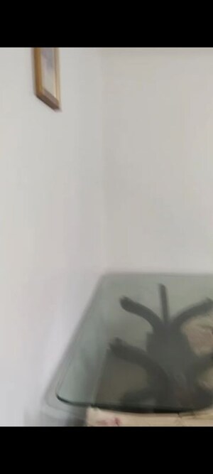 1 BHK Apartment For Rent in Akanksha CHS Prabhadevi, Prabhadevi