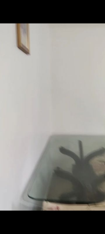 1 BHK Apartment For Rent in Akanksha CHS Prabhadevi