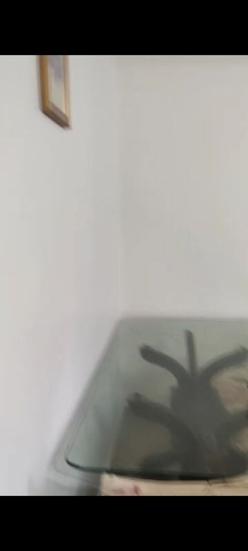 2 BHK Apartment For Rent in Prabhadevi CHS, Prabhadevi