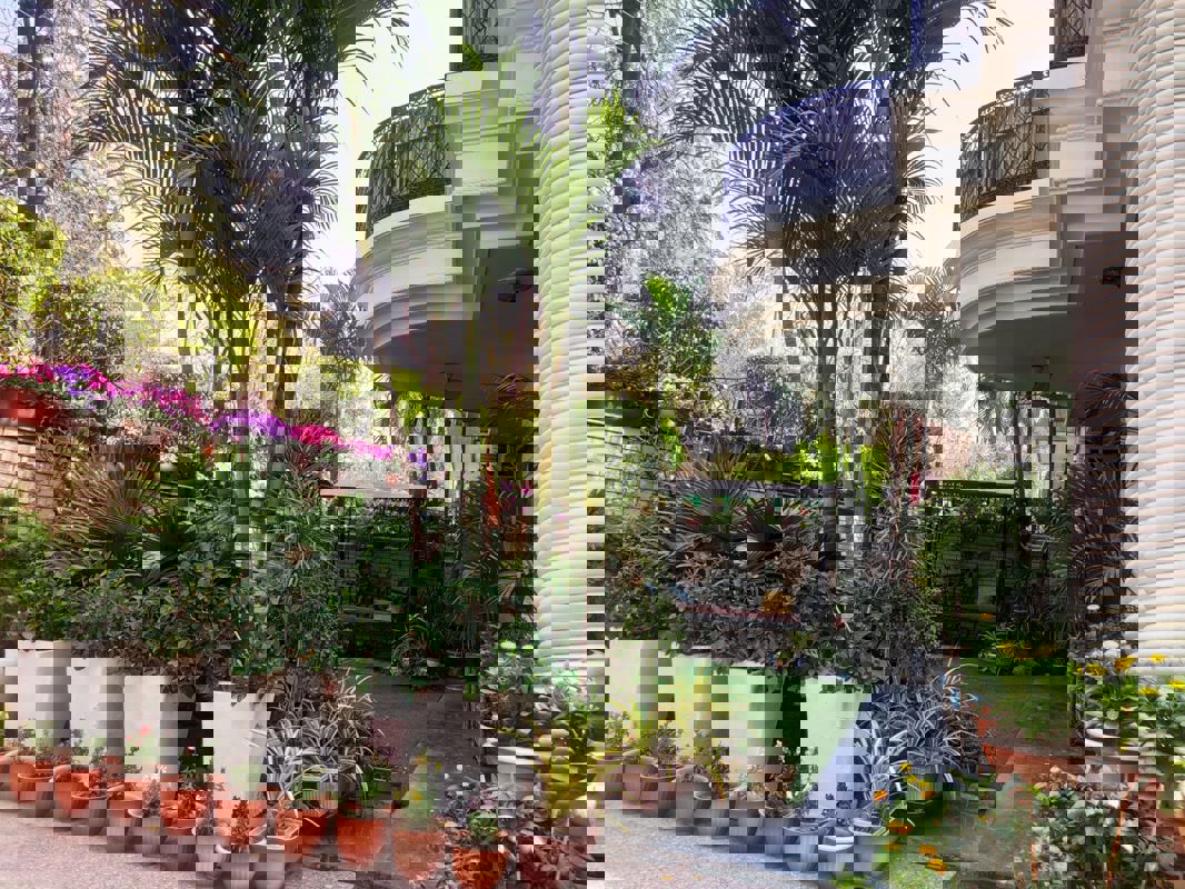 4 BHK Builder Floor For Rent in Sector 46