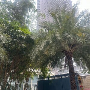 2 BHK Apartment – Exterior View View at Ireo Skyon, Sector 60 - for Sale