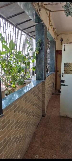 1 BHK Apartment For Rent in Ganoomal Mansion CHS, Wadala West