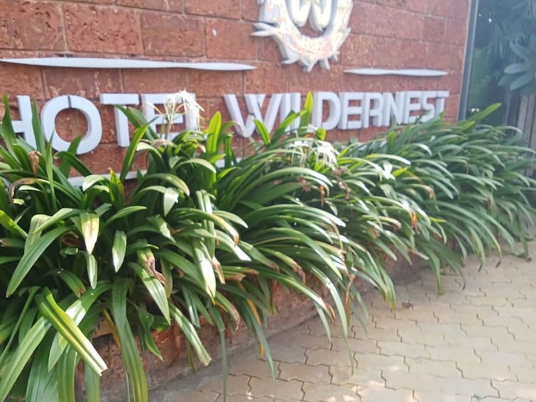 Exterior View, gorewada Commercial Land 13560 Sq.Ft. In Gorewada Nagpur 9729044