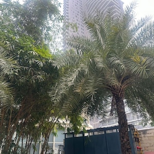 3 BHK Apartment – Exterior View View at Ireo Skyon, Sector 60 - for Sale