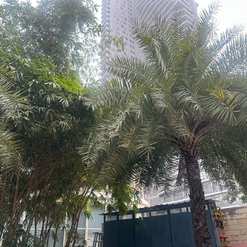 3 BHK Apartment – Exterior View View at Ireo Skyon, Sector 60 - for Sale