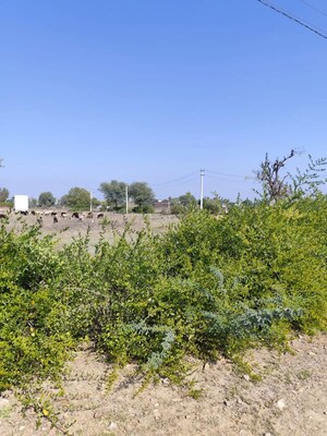 Plot Area in  Plot at Newai – for Sale