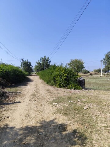 Plot Area in  Plot at Newai – for Sale