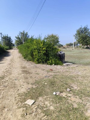 Plot Area in  Plot at Newai – for Sale