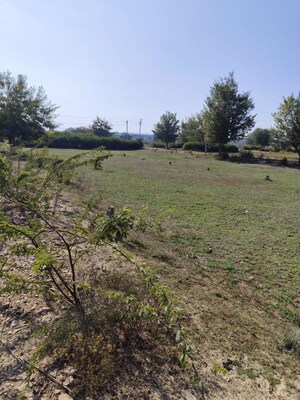 Plot Area in  Plot at Newai – for Sale