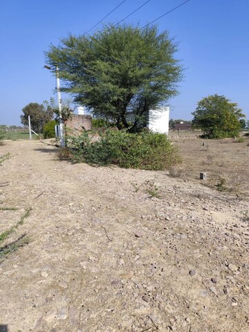 Plot Area in  Plot at Newai – for Sale