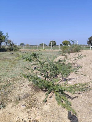 Plot Area in  Plot at Newai – for Sale