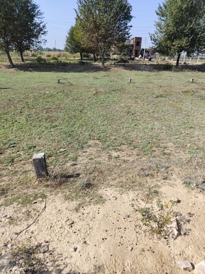 Plot Area in  Plot at Newai – for Sale