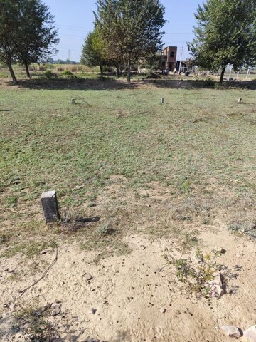 Plot Area in  Plot at Newai – for Sale