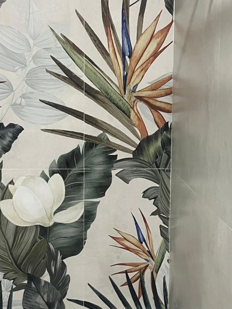 undefined, sector 57 3 Bedroom 260 Sq.Yd. Builder Floor In Sector 57 Gurgaon 9729142