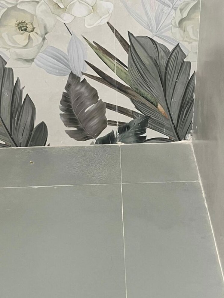 undefined, sector 57 3 Bedroom 260 Sq.Yd. Builder Floor In Sector 57 Gurgaon 9729142