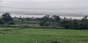 Plot Area in  Plot at Peth Road – for Sale