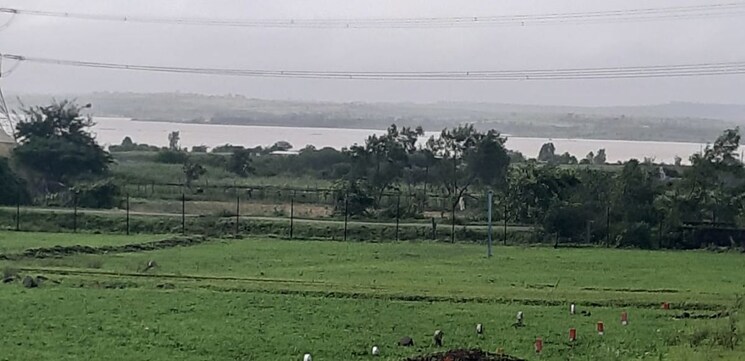 undefined, peth road  308 Sq.Yd. Plot In Peth Road Nashik 9729283