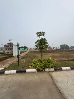 Plot For Sale in Panchkula Urban Estate