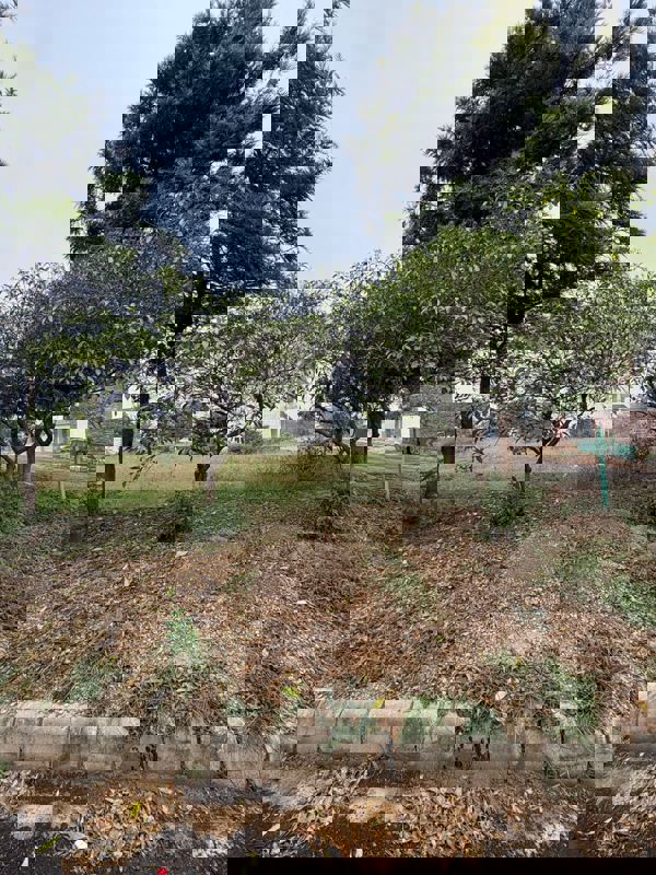 Plot For Sale in Panchkula Urban Estate