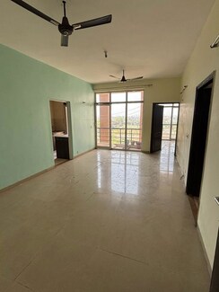 2 BHK Apartment For Rent in Ansal Paradise Crystal