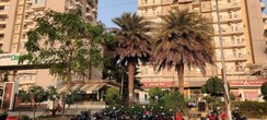 1 BHK Apartment For Rent in Ajnara Daffodil