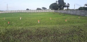 Plot Area in  Plot at Peth Road – for Sale