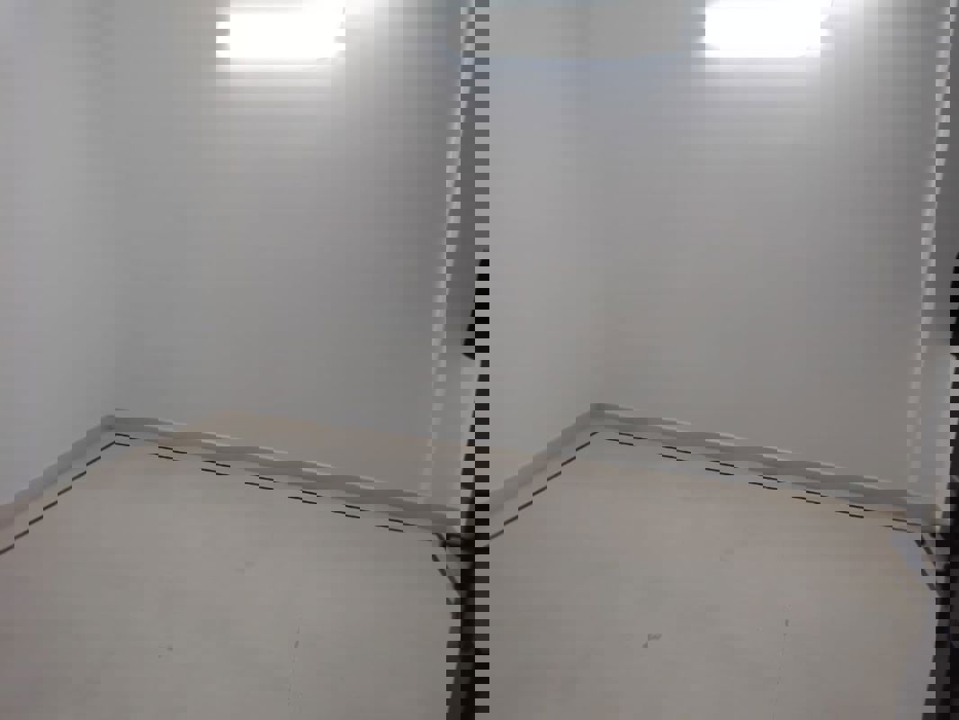 3 BHK + Servant Room Builder Floor For Rent in Sarvapriya Vihar