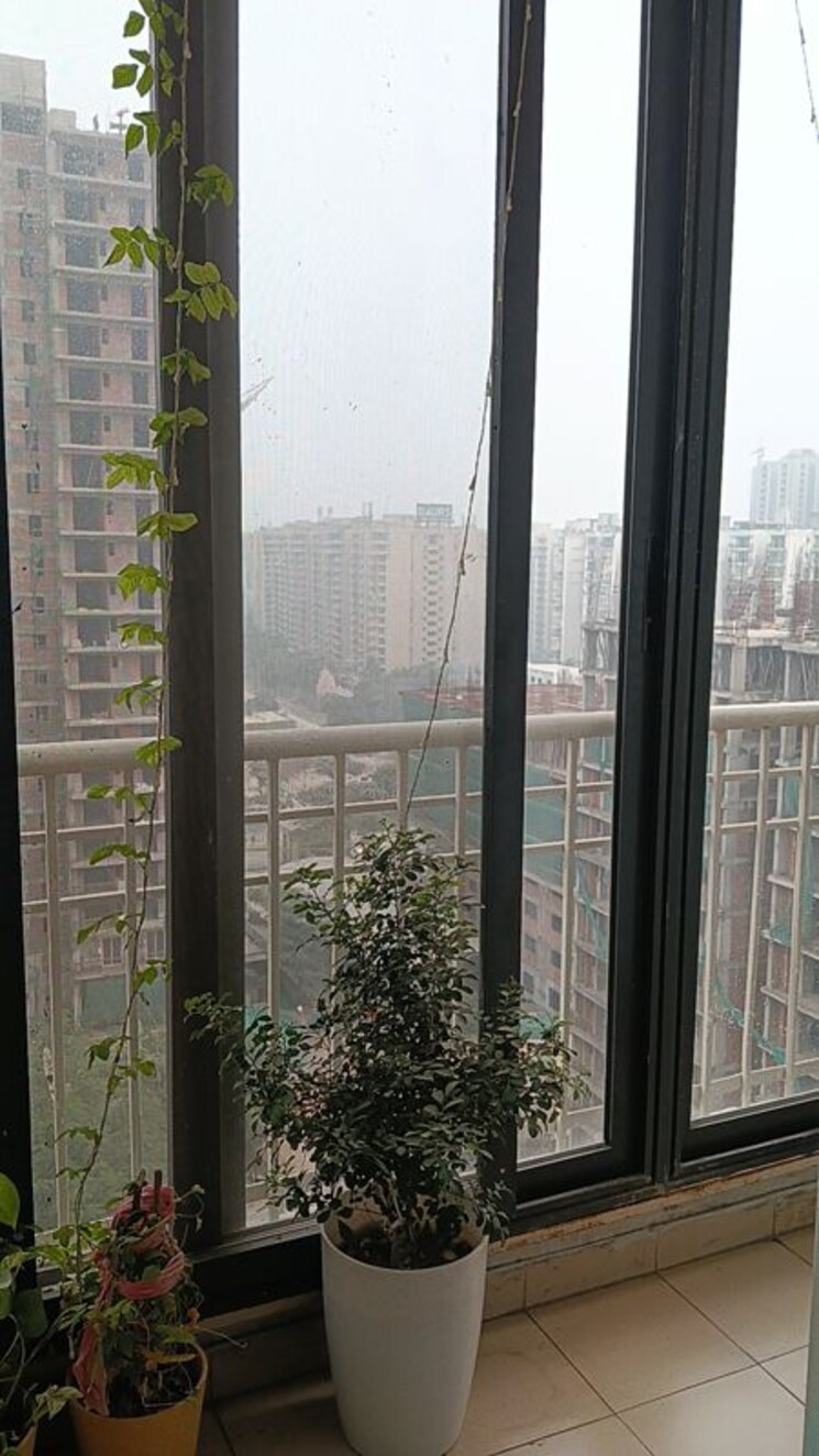 Balcony, jkg-palm-resort 3.5 Bedroom 2060 Sq.Ft. Apartment In Raj Nagar Extension Ghaziabad 9729514