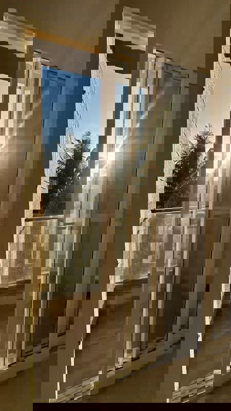 3 BHK Apartment For Rent in Eka Elitas