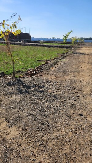 Plot Area in  Plot at Katangi – for Sale