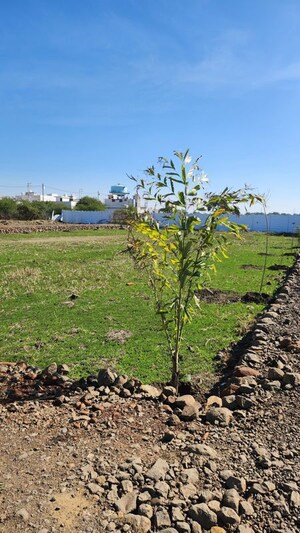  Plot For Sale in Katangi