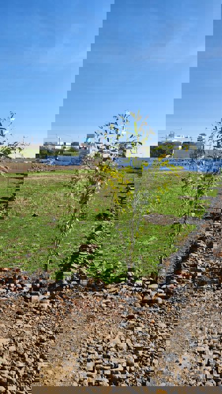 Plot For Sale in Katangi