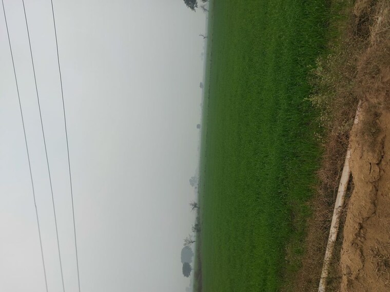 Exterior View, mant Commercial Land 2020 Sq.Mt. In Mant Mathura 9729905