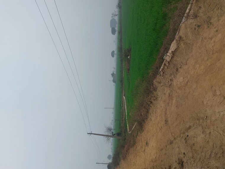 undefined, mant Commercial Land 2020 Sq.Mt. In Mant Mathura 9729905