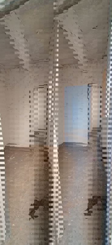 1 RkApartment For Rent in Wakad