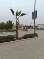 136 Sq.Yd. Plot in Godrej Evora Estate