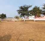 120 Sq.Yd. Plot in Chaumuhan