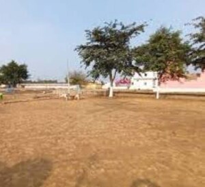  Plot For Sale in Chaumuhan