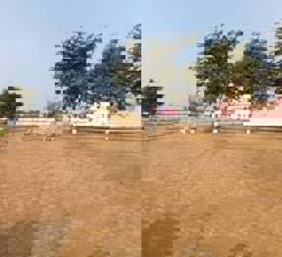 Plot For Sale in Chaumuhan